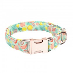 April & June Fruits Collar