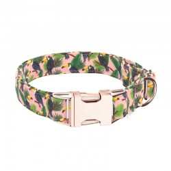 April & June Toucans Collar