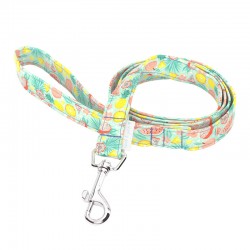 April & June Fruits Leash